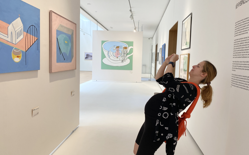 Slovenská Národná Galéria